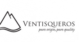 Ventisqueros